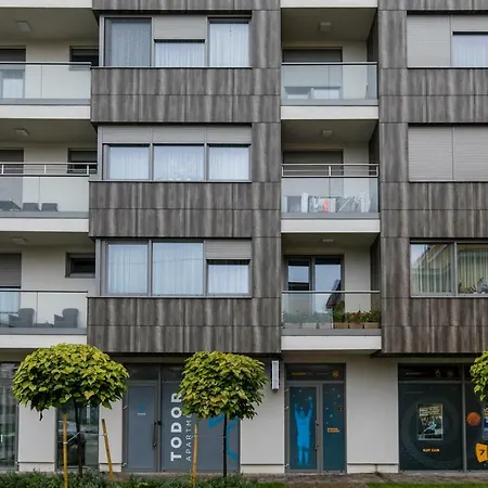 Todor Center *