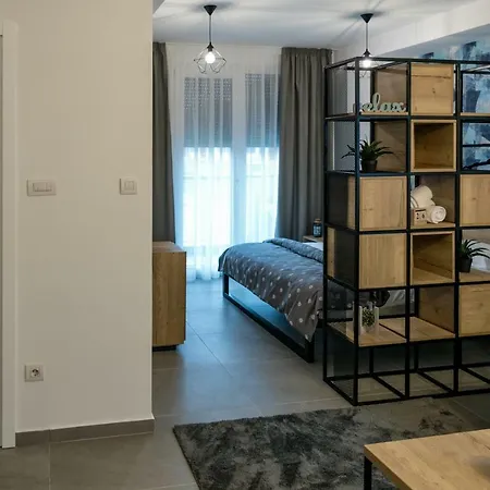 Apartment Todor Center